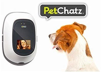 The Best Pet Camera Of 2022? Dog Cameras Reviewed (December 2022)