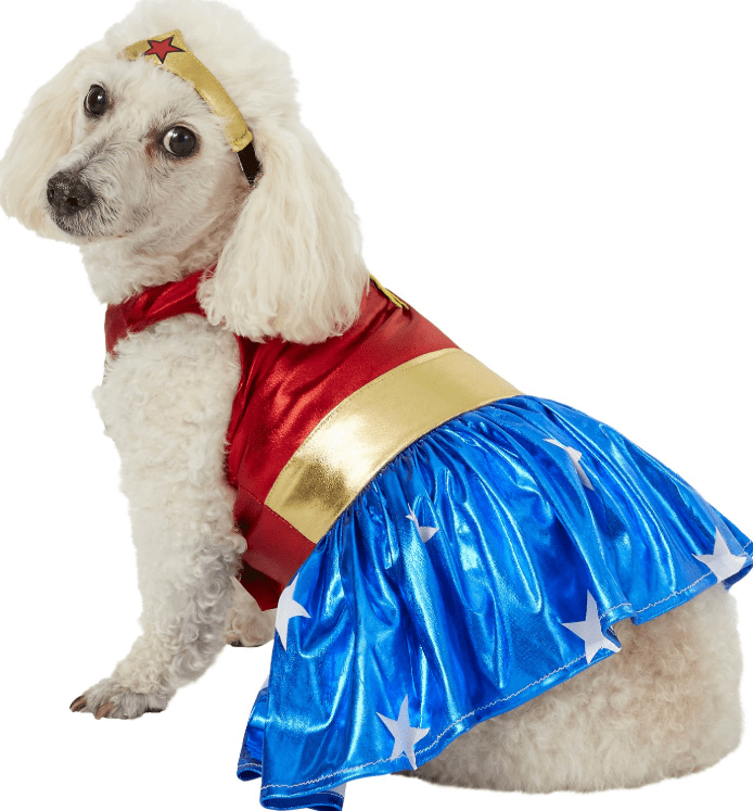 Best Small Dog Halloween Costumes of 2024